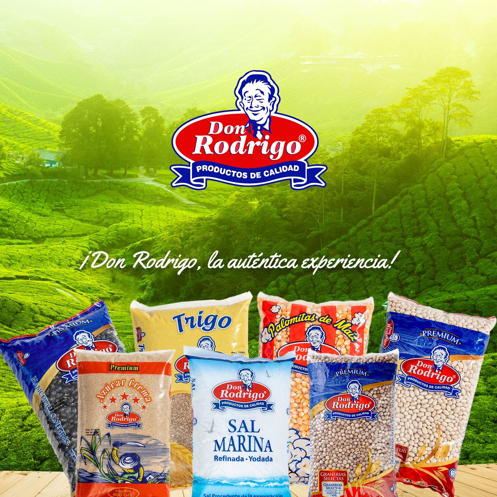 Don Rodrigo: Celebrando la Calidad y Tradición en Productos de Consumo Masivo y Enlatados
